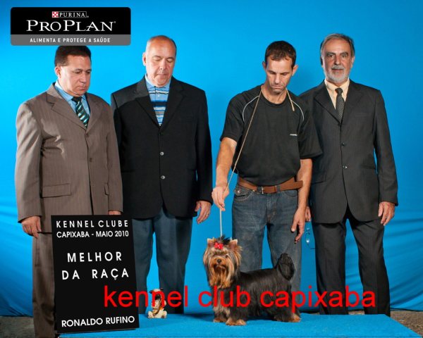 Clique sobre a foto para fechar